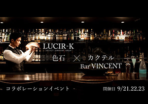 LUCIR-K × VINCENT